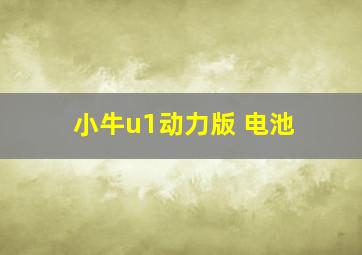 小牛u1动力版 电池